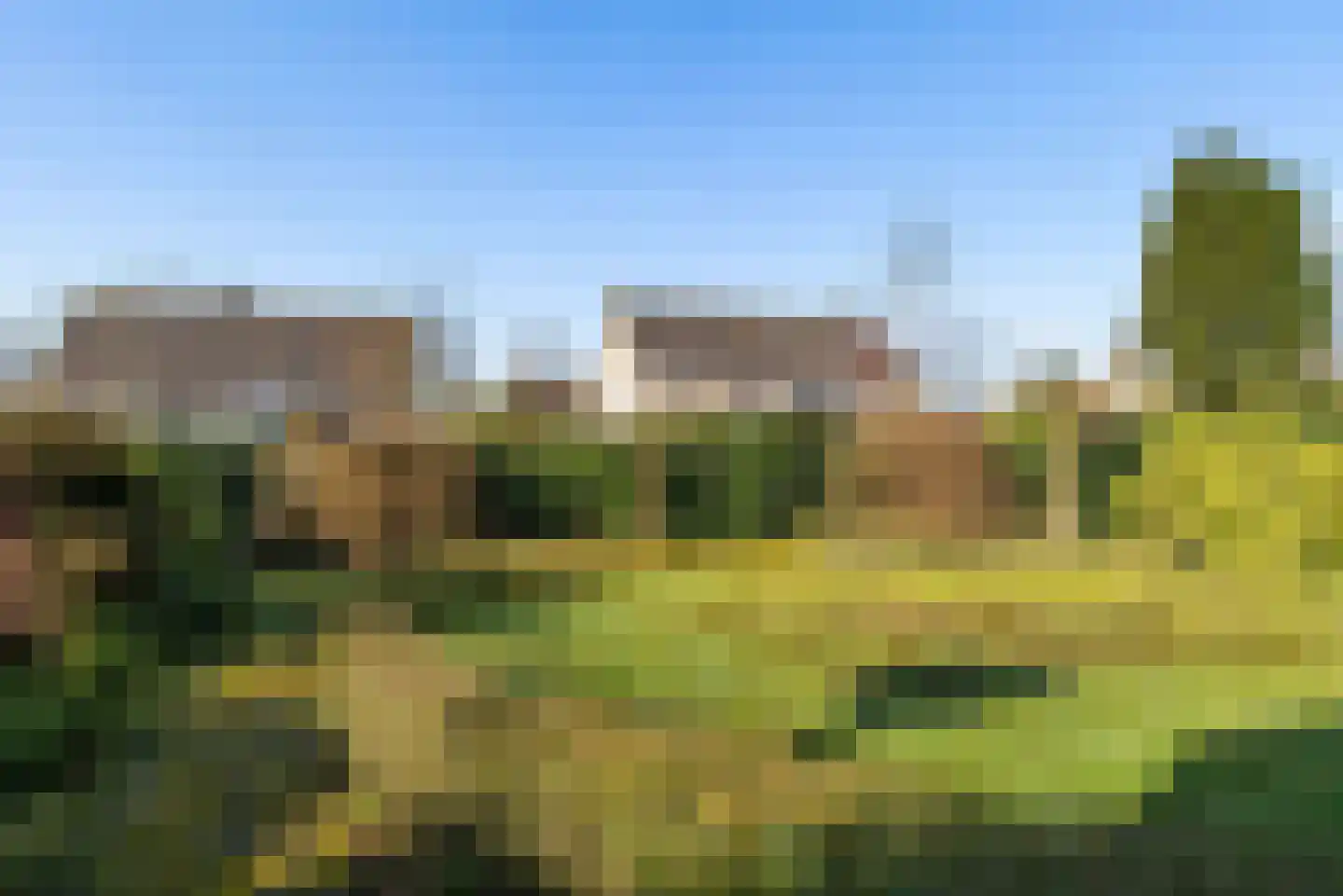 Tureluur 4 Elburg thumbnail 43