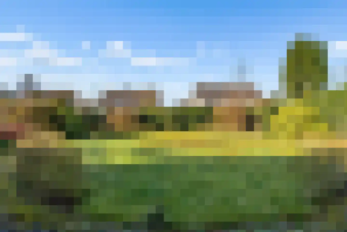 Tureluur 4 Elburg thumbnail 44