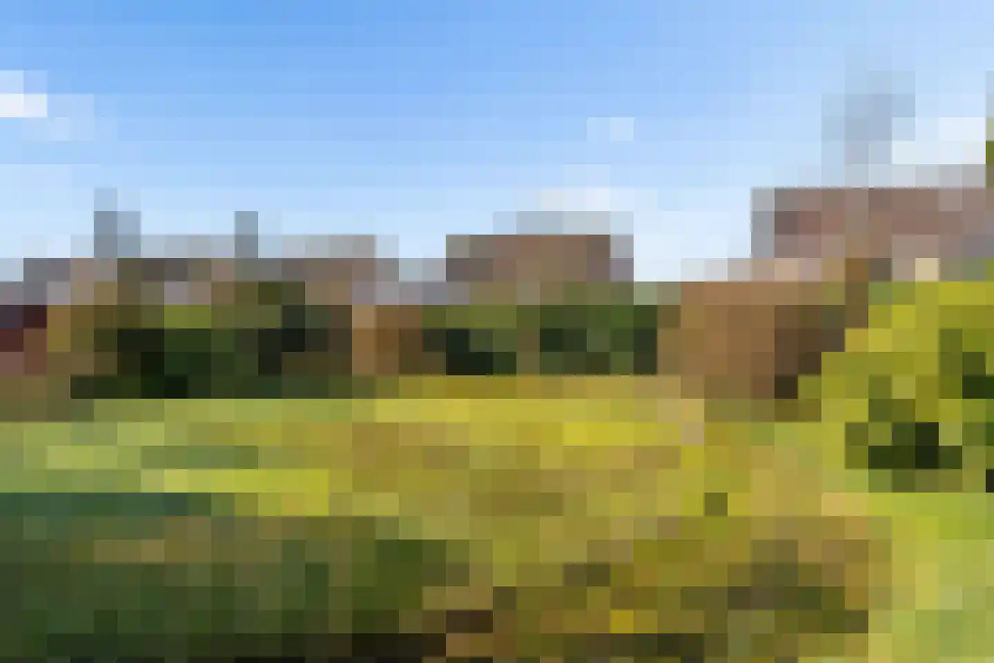 Tureluur 4 Elburg thumbnail 45