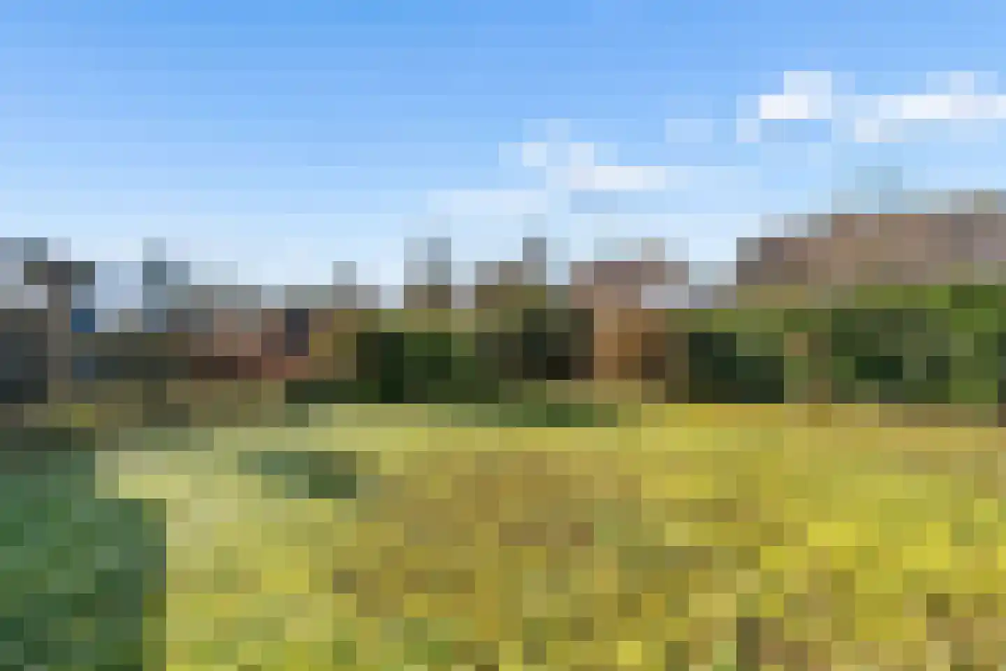 Tureluur 4 Elburg thumbnail 46
