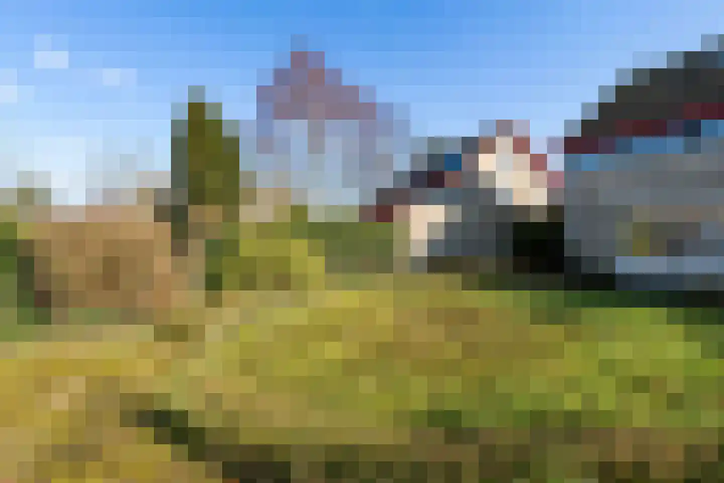 Tureluur 4 Elburg thumbnail 47