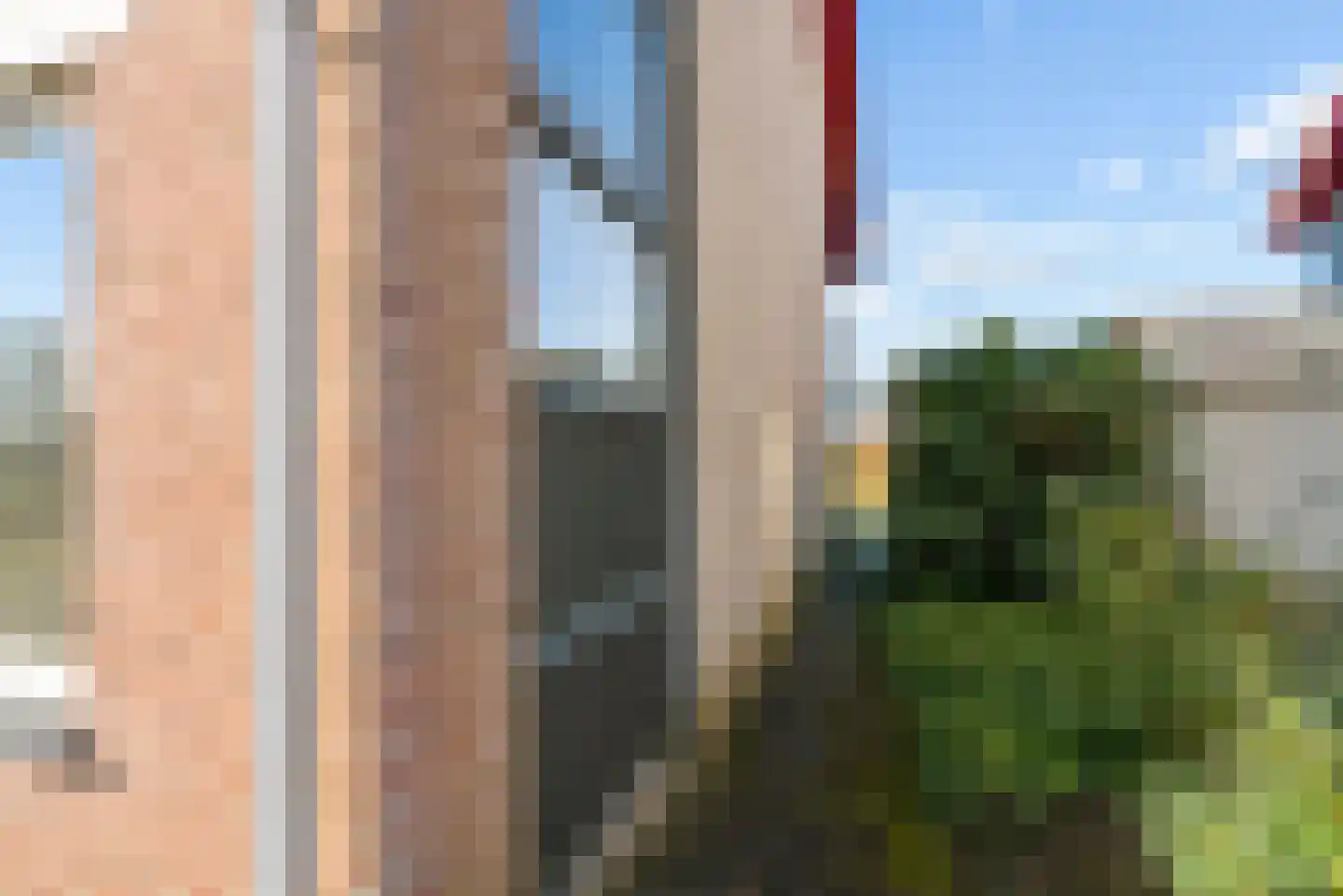 Tureluur 4 Elburg thumbnail 50