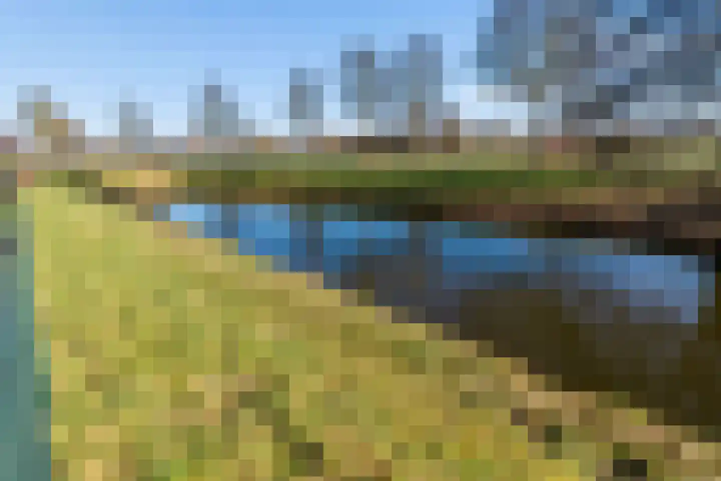 Tureluur 4 Elburg thumbnail 51
