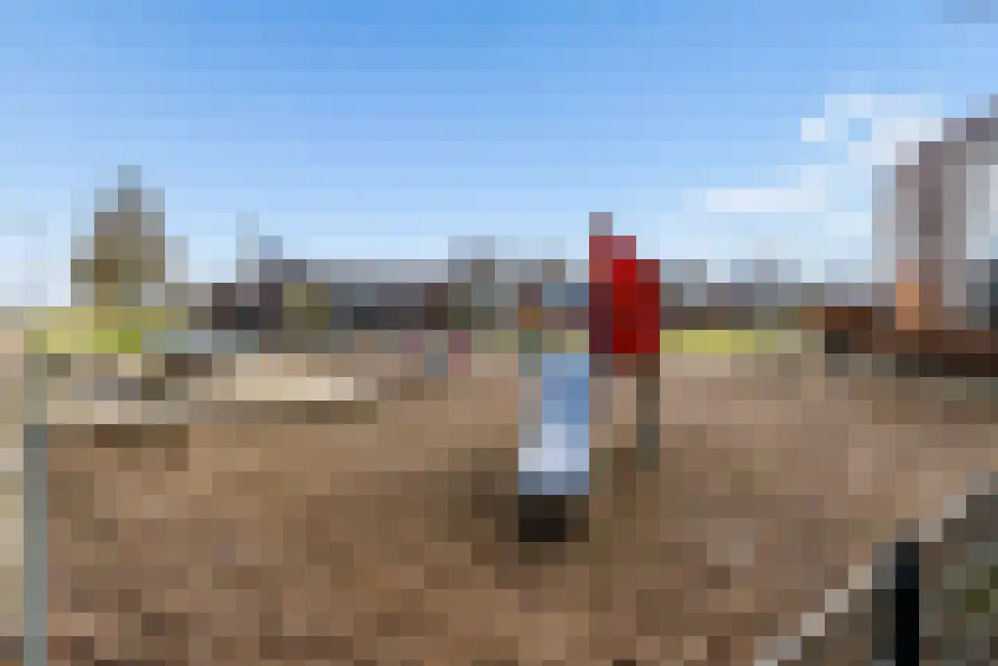 Tureluur 4 Elburg thumbnail 52