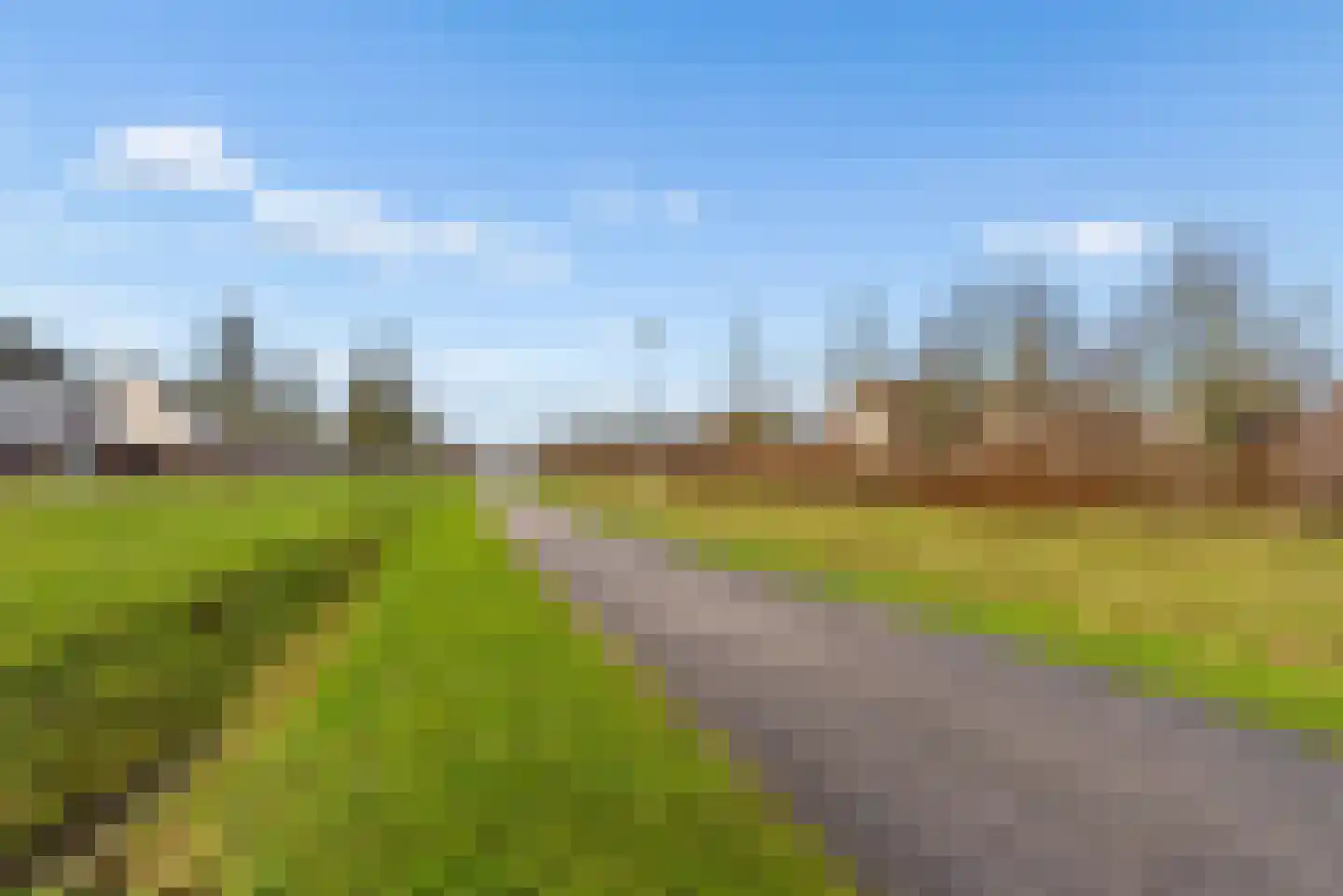 Tureluur 4 Elburg thumbnail 53