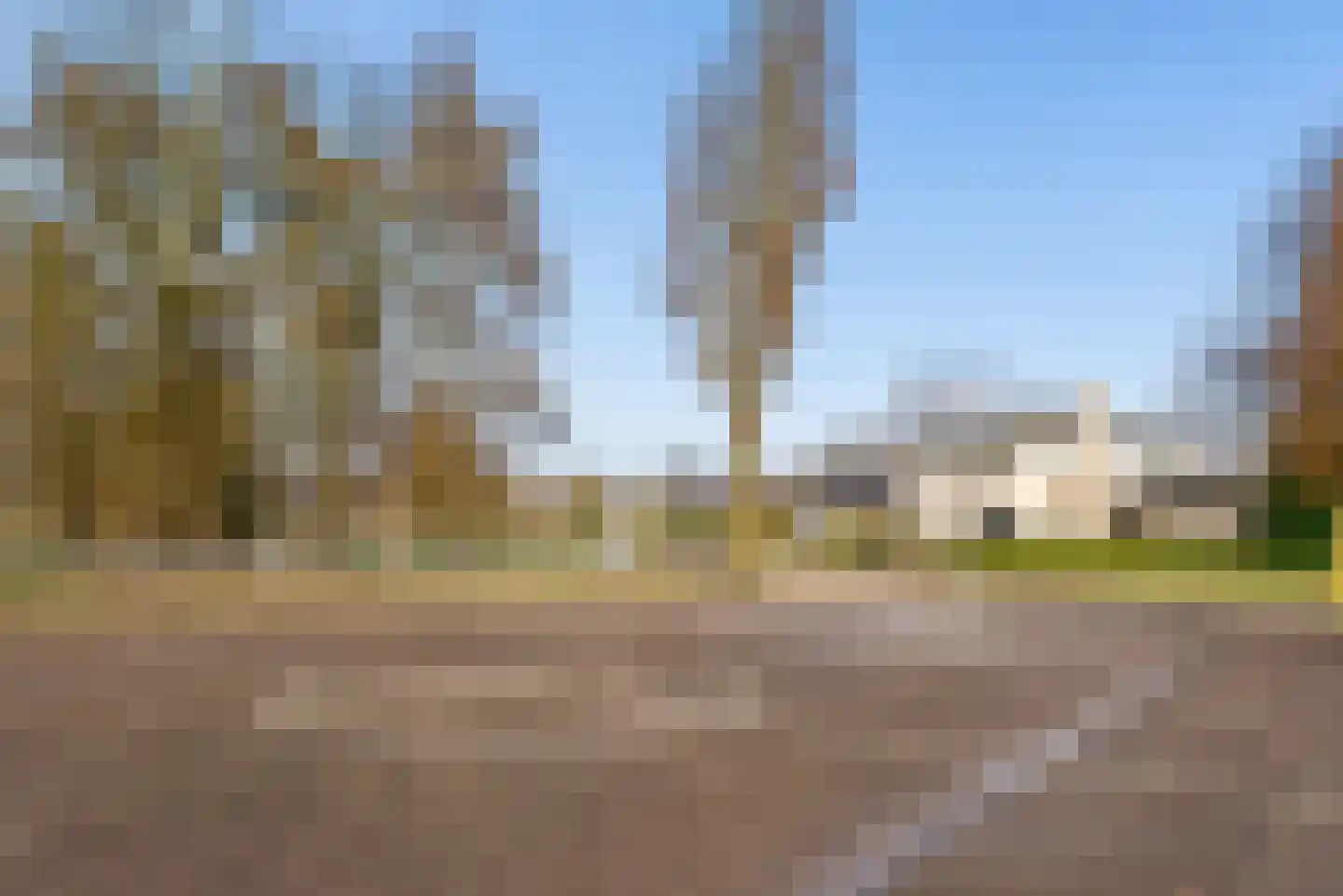 Tureluur 4 Elburg thumbnail 56