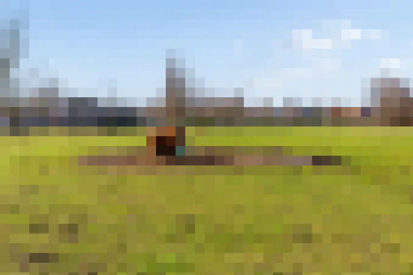 Tureluur 4 Elburg thumbnail 57