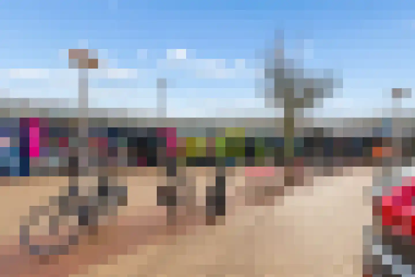 Tureluur 4 Elburg thumbnail 58