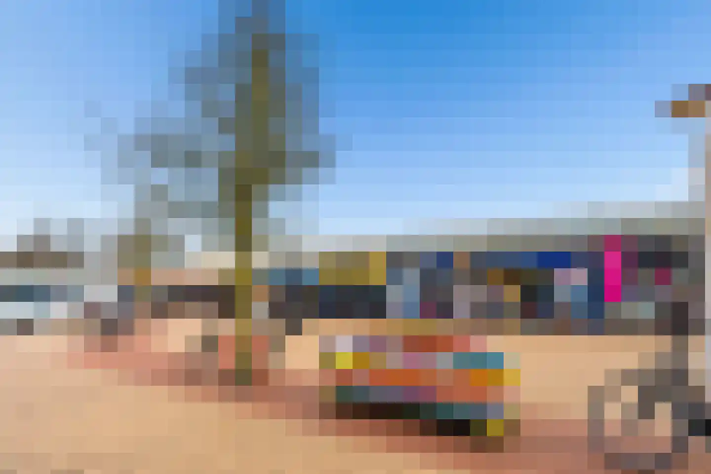 Tureluur 4 Elburg thumbnail 59