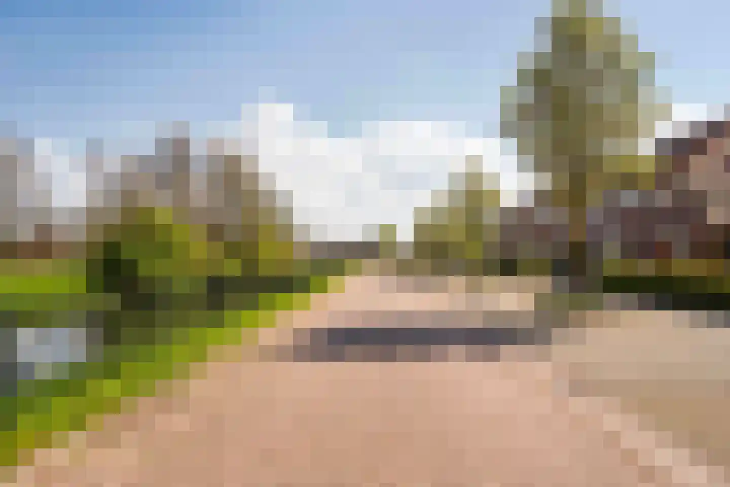 Tureluur 4 Elburg thumbnail 60