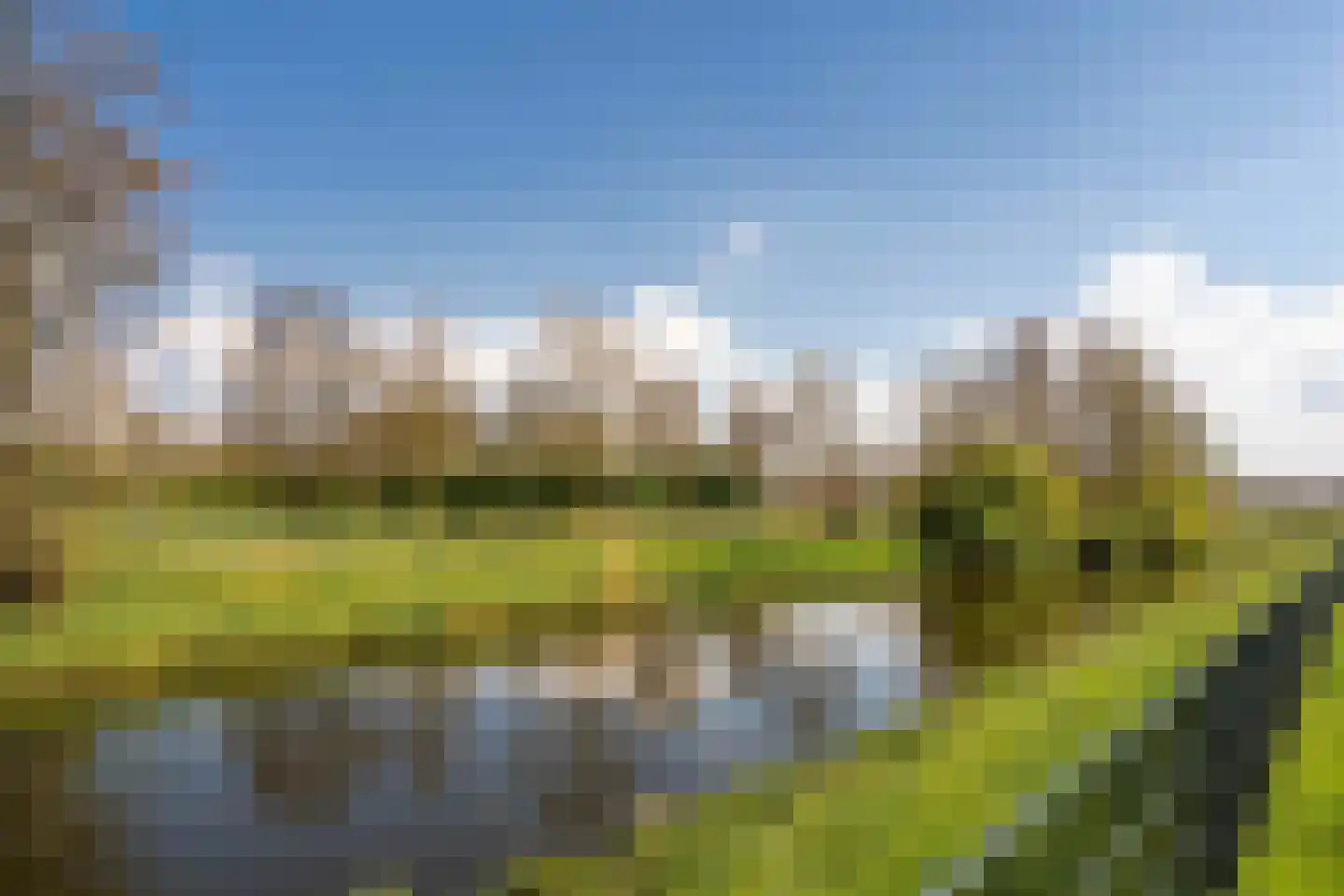 Tureluur 4 Elburg thumbnail 61