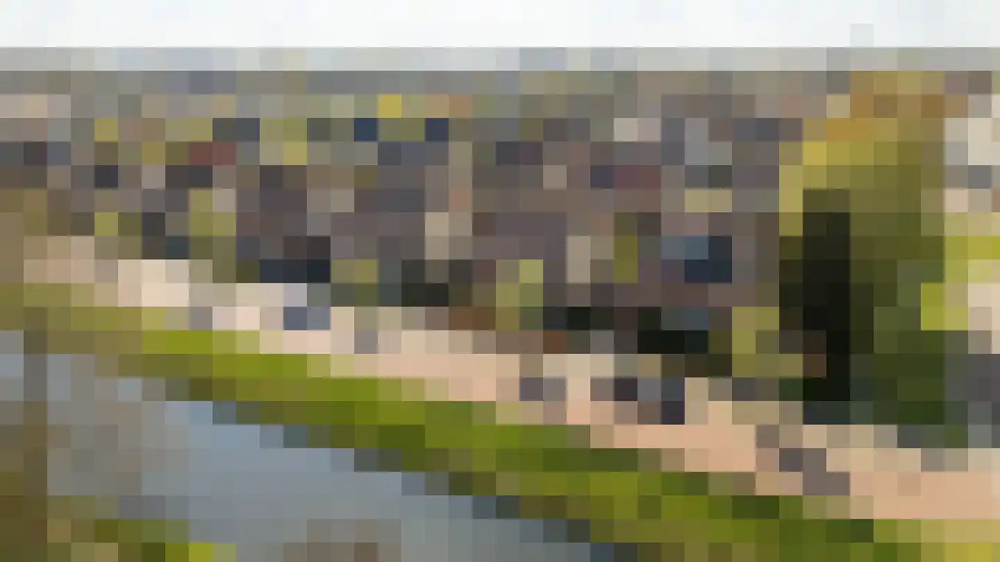 Tureluur 4 Elburg thumbnail 62