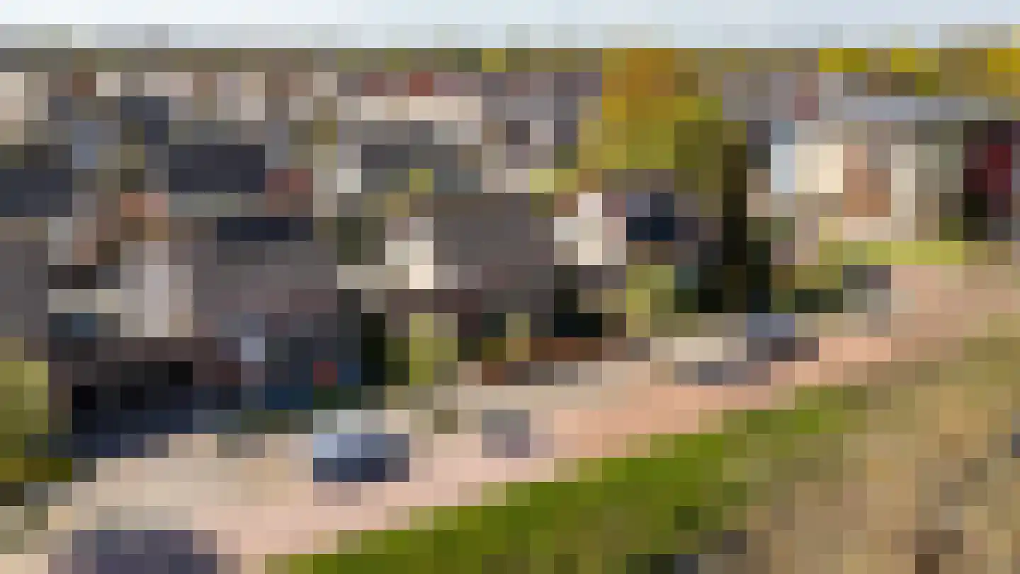 Tureluur 4 Elburg thumbnail 63