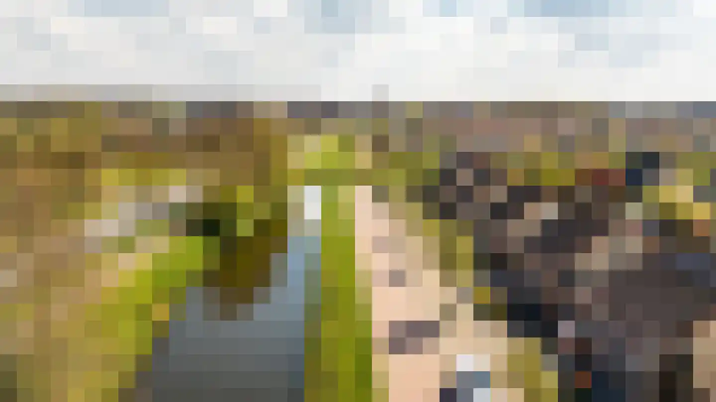 Tureluur 4 Elburg thumbnail 64