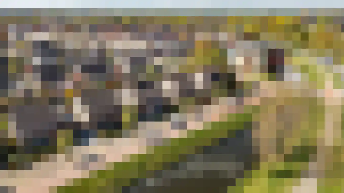 Tureluur 4 Elburg thumbnail 65
