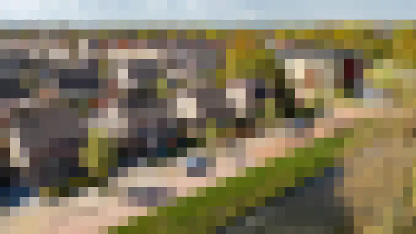 Tureluur 4 Elburg thumbnail 66