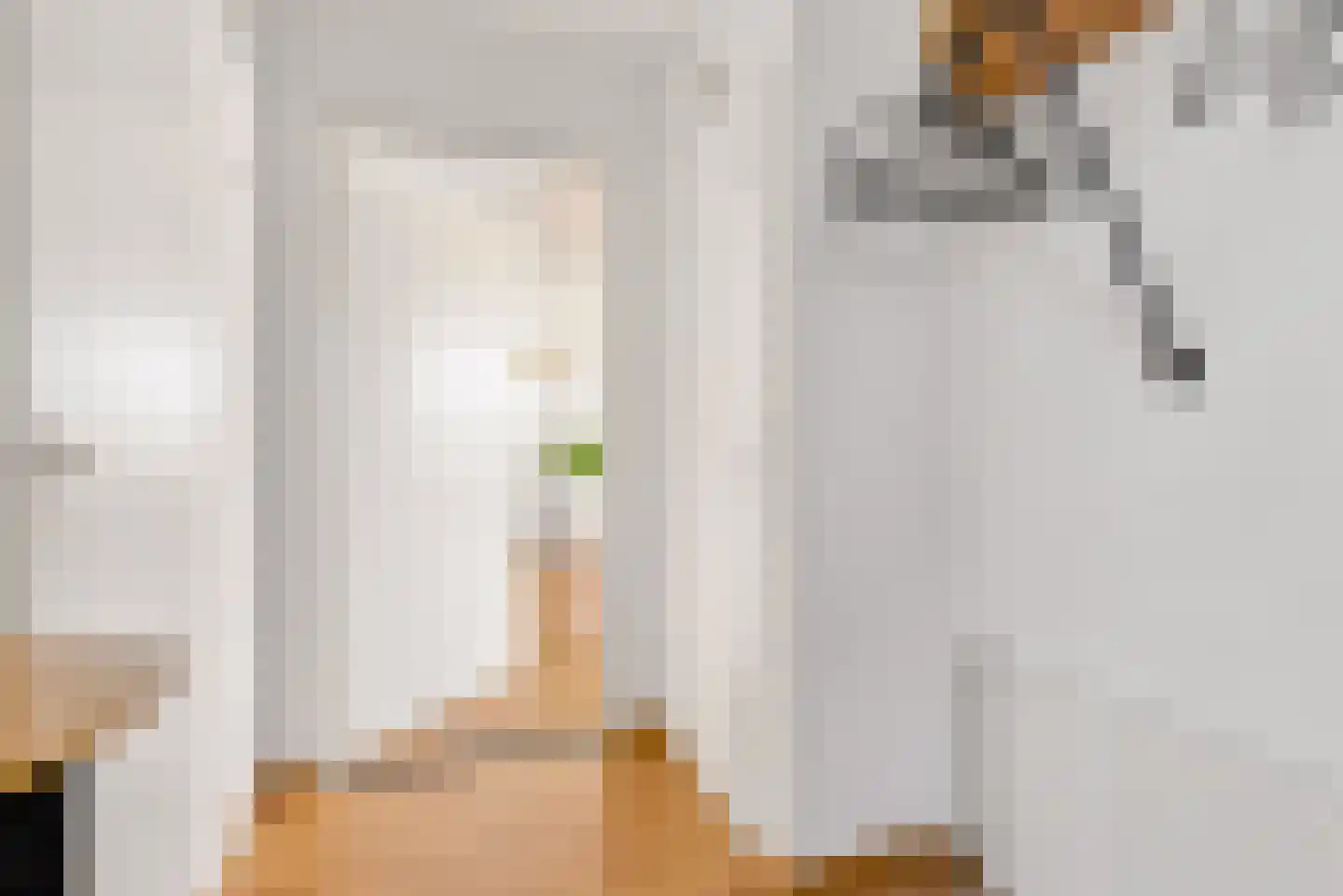 Tureluur 4 Elburg thumbnail 8