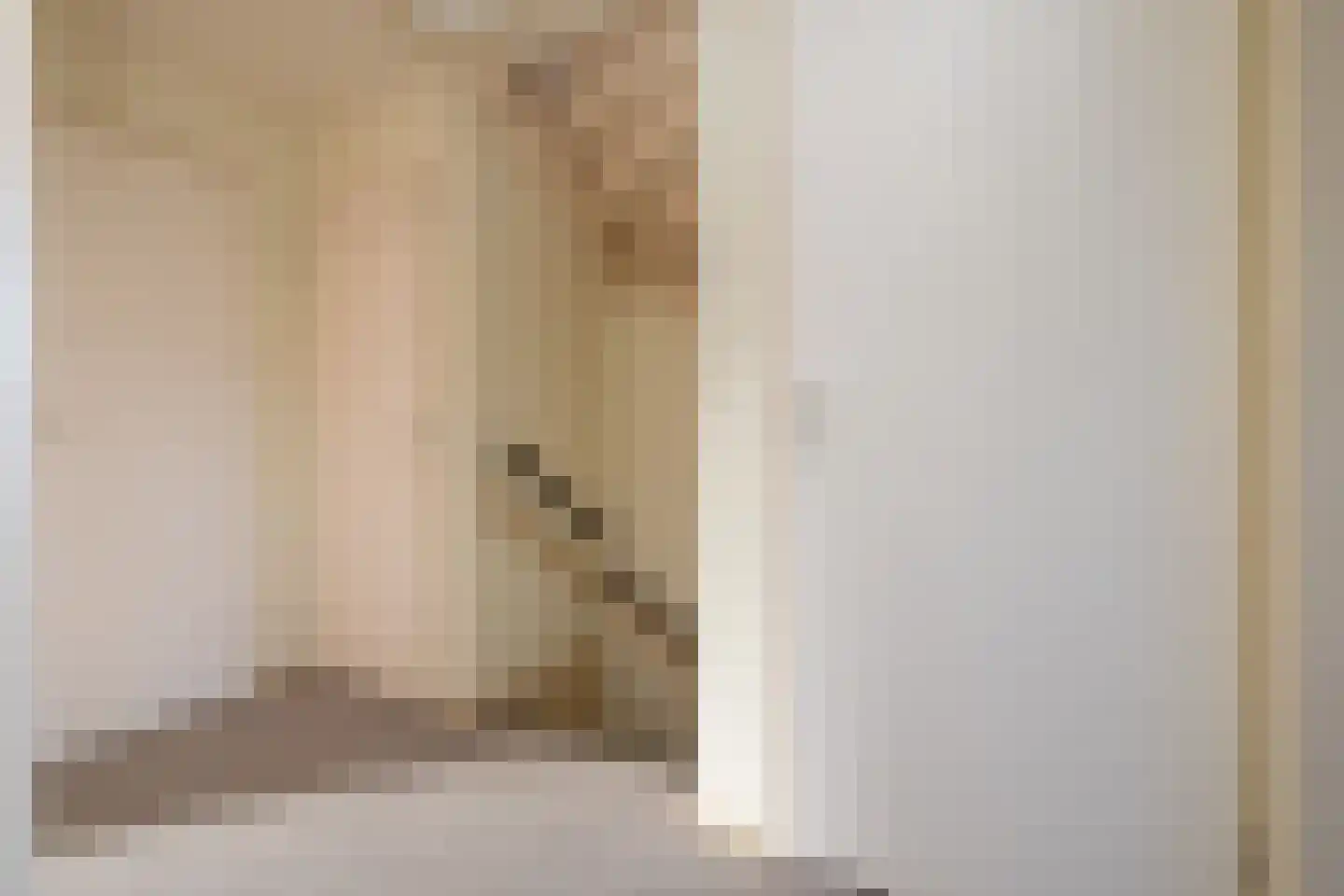 Tureluur 5 Sommelsdijk thumbnail 10