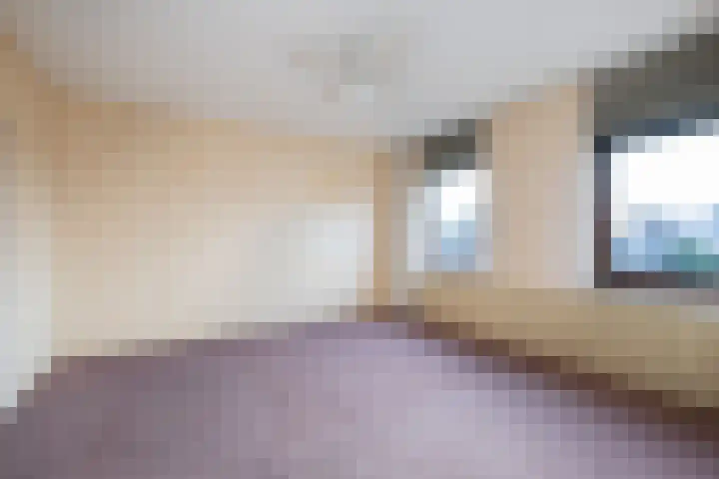 Tureluur 5 Sommelsdijk thumbnail 11