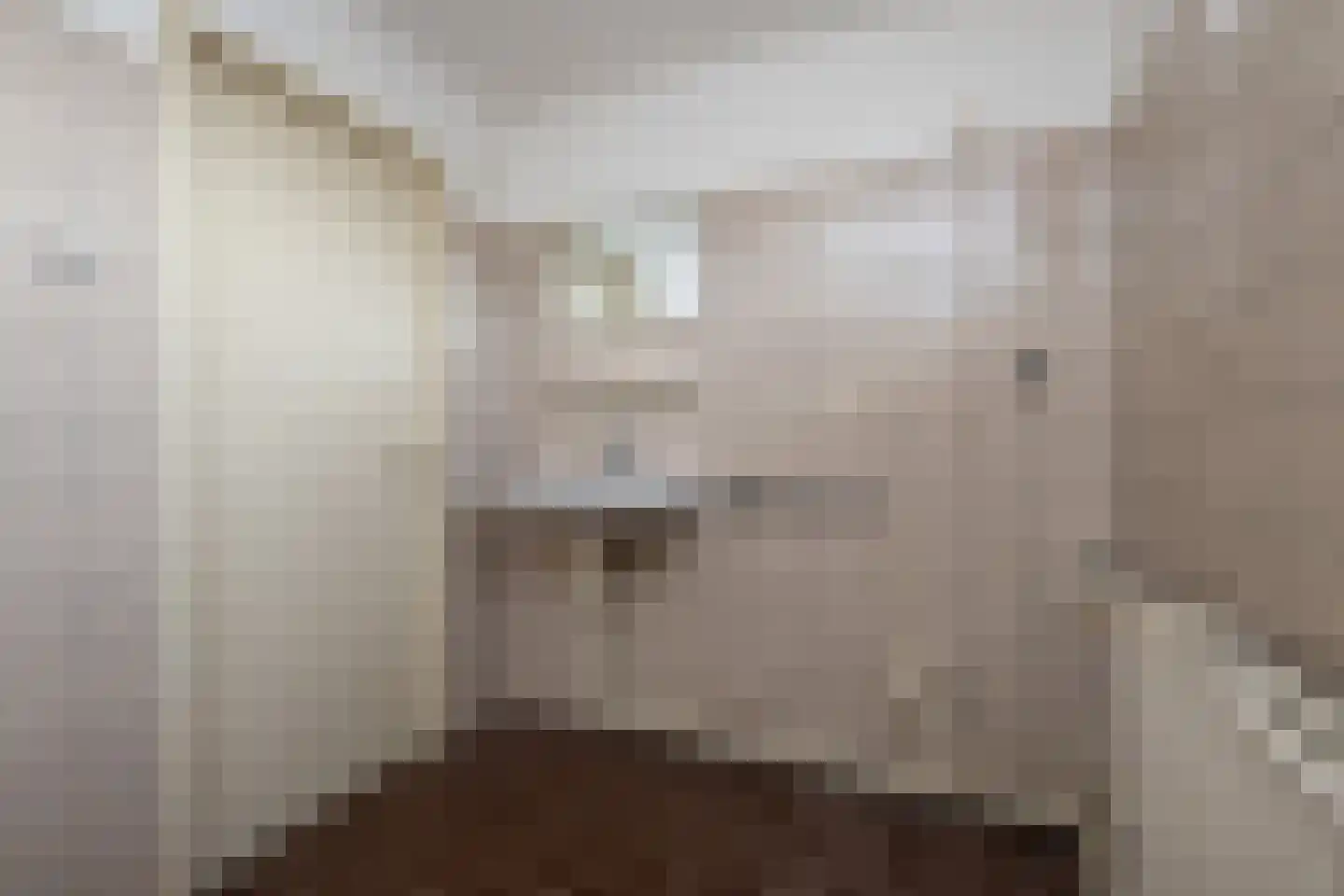 Tureluur 5 Sommelsdijk thumbnail 14