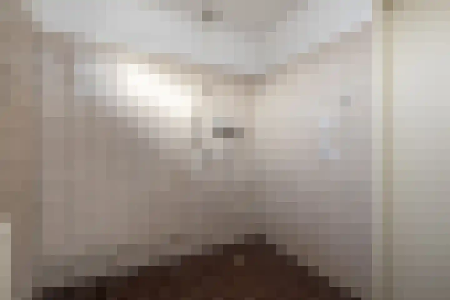 Tureluur 5 Sommelsdijk thumbnail 15