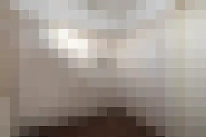 Tureluur 5 Sommelsdijk thumbnail 15
