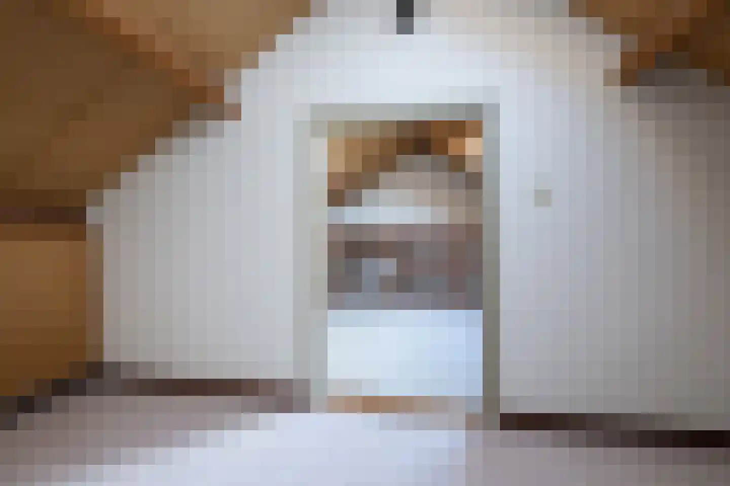 Tureluur 5 Sommelsdijk thumbnail 16