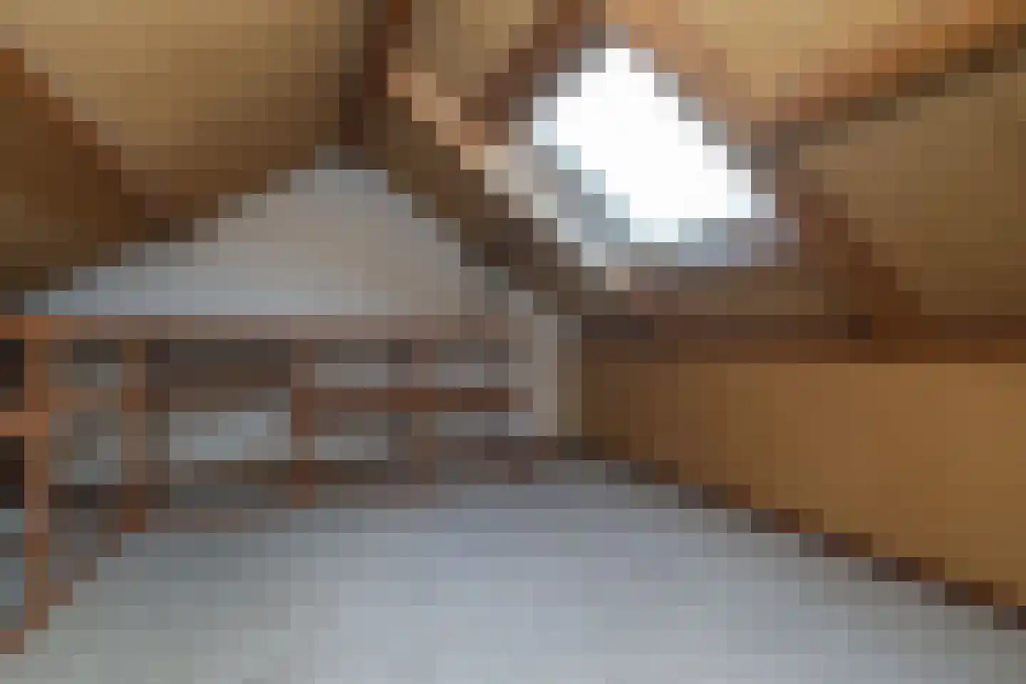 Tureluur 5 Sommelsdijk thumbnail 18