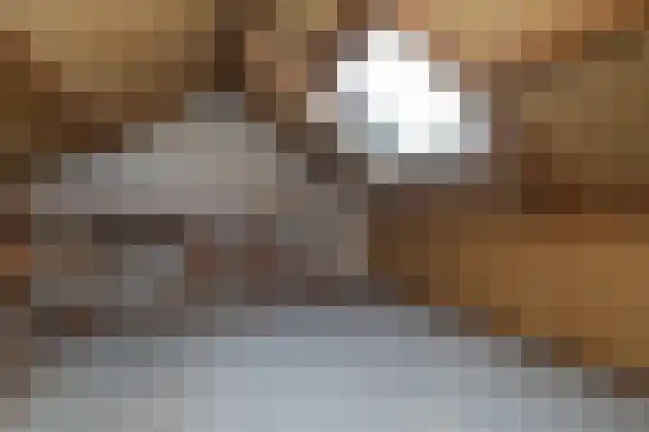 Tureluur 5 Sommelsdijk thumbnail 18