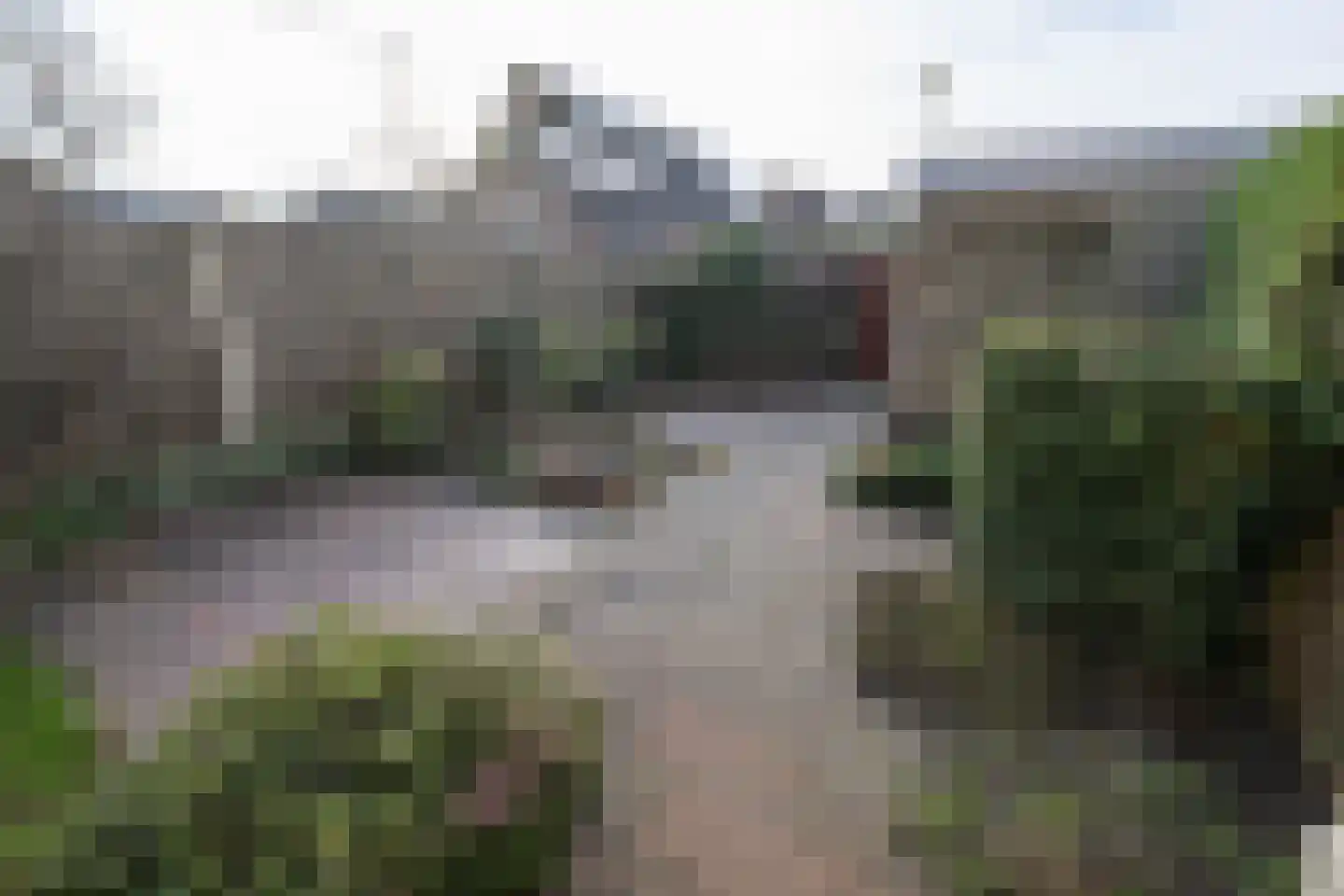 Tureluur 5 Sommelsdijk thumbnail 20