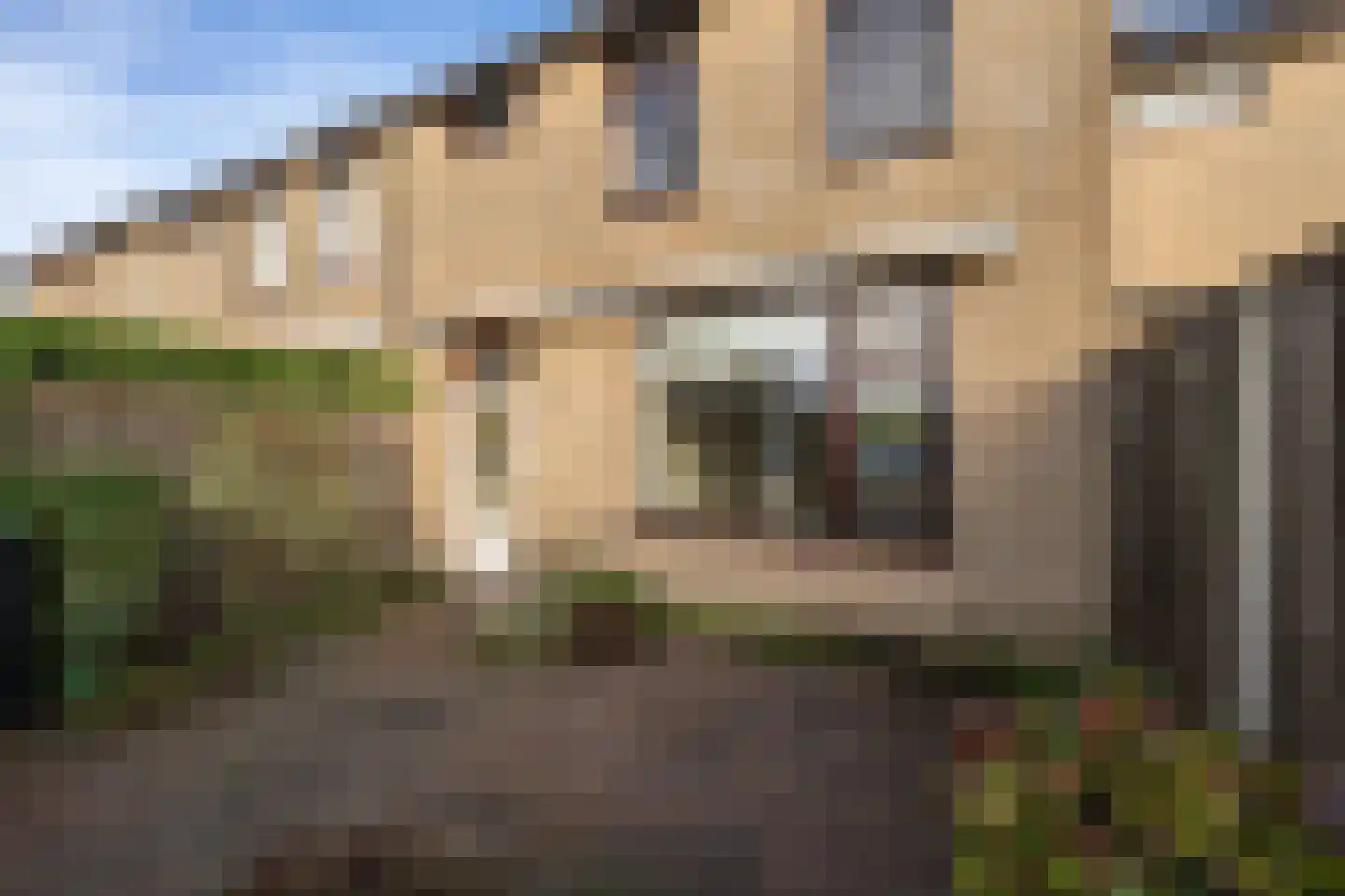 Tureluur 5 Sommelsdijk thumbnail 23