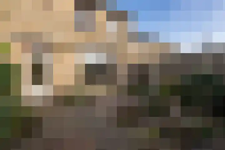 Tureluur 5 Sommelsdijk thumbnail 24