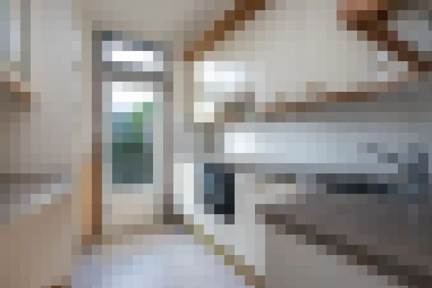 Tureluur 5 Sommelsdijk thumbnail 9