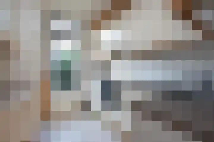 Tureluur 5 Sommelsdijk thumbnail 9