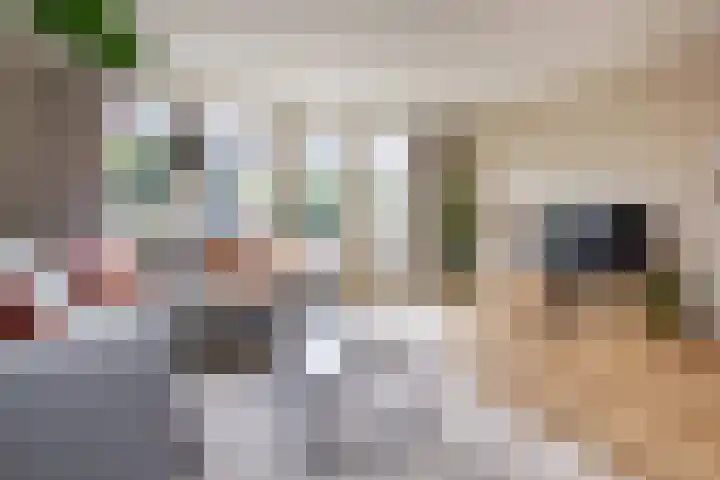 Tureluur 5 Velserbroek thumbnail 12