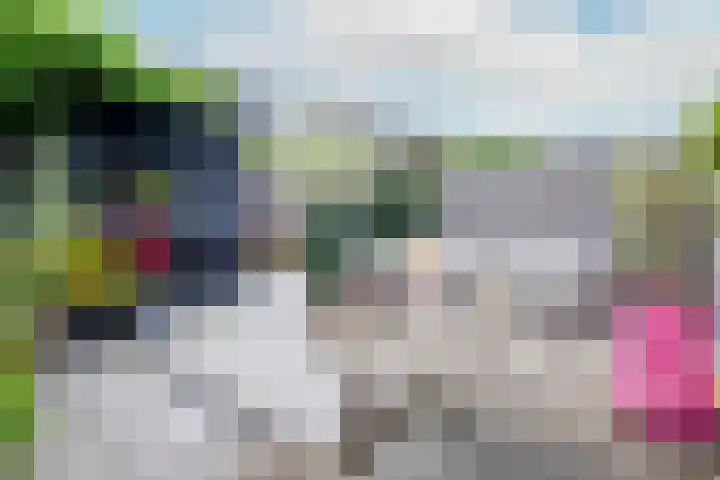 Tureluur 5 Velserbroek thumbnail 21