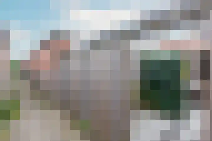 Tureluur 5 Velserbroek thumbnail 22