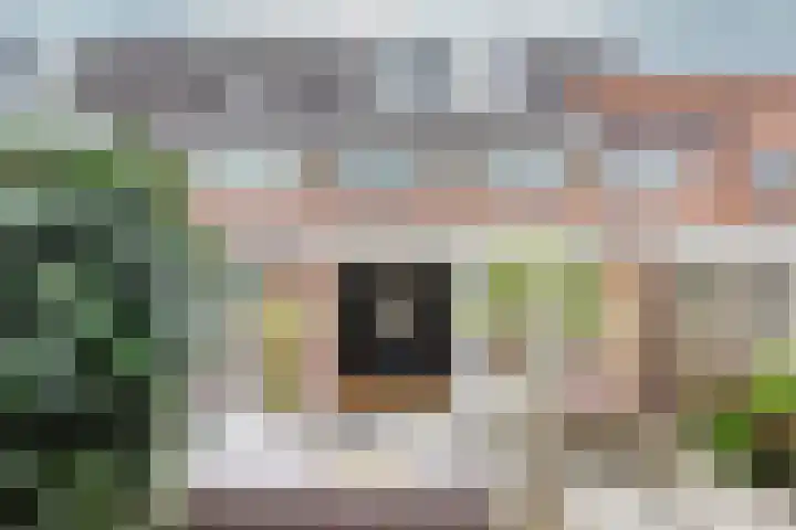 Tureluur 5 Velserbroek thumbnail 24