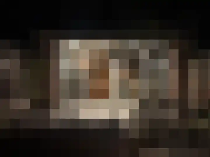 Tureluur 5 Velserbroek thumbnail 25