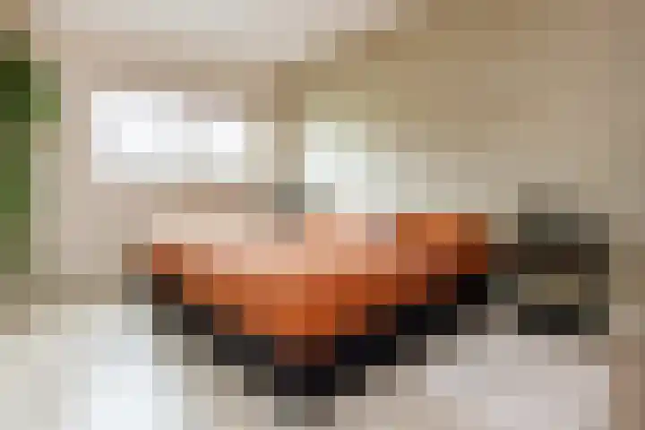 Tureluur 5 Velserbroek thumbnail 35