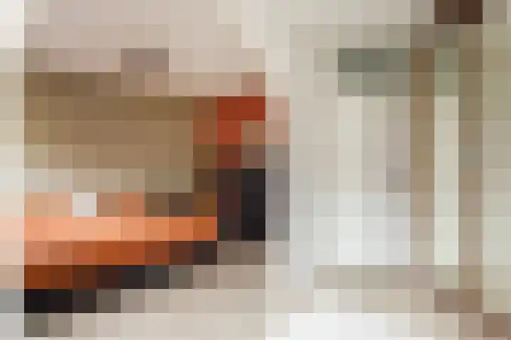 Tureluur 5 Velserbroek thumbnail 37