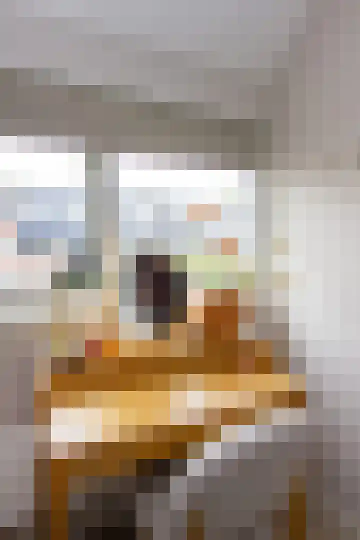Tureluur 5 Velserbroek thumbnail 39