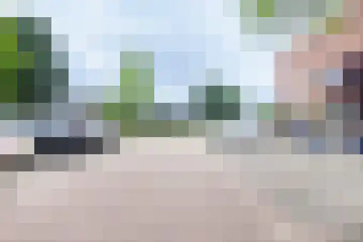 Tureluur 5 Velserbroek thumbnail 46