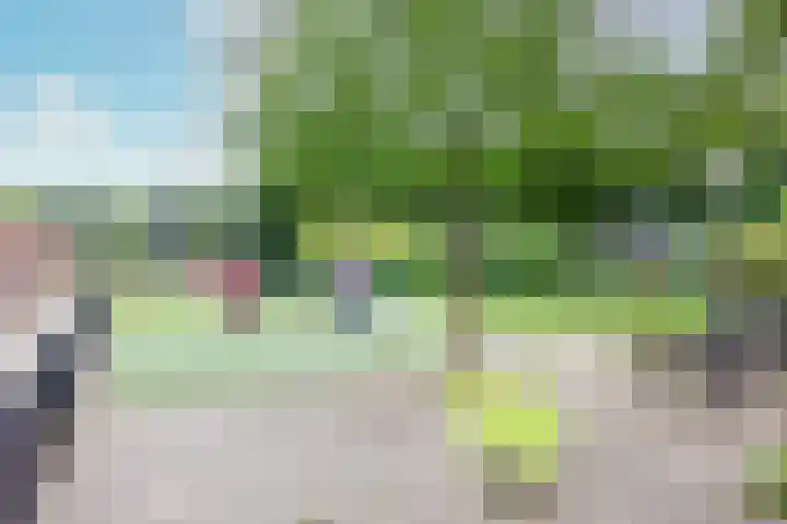 Tureluur 5 Velserbroek thumbnail 47