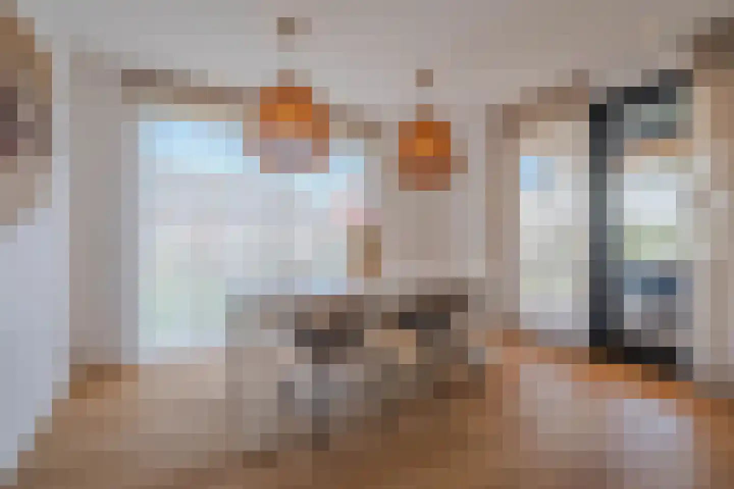 Tureluur 50 Venray thumbnail 12