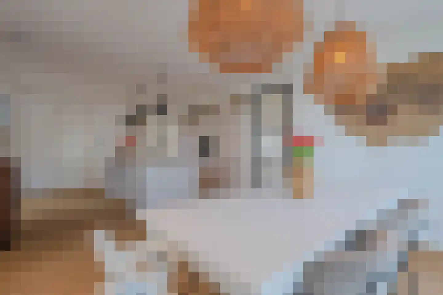 Tureluur 50 Venray thumbnail 14