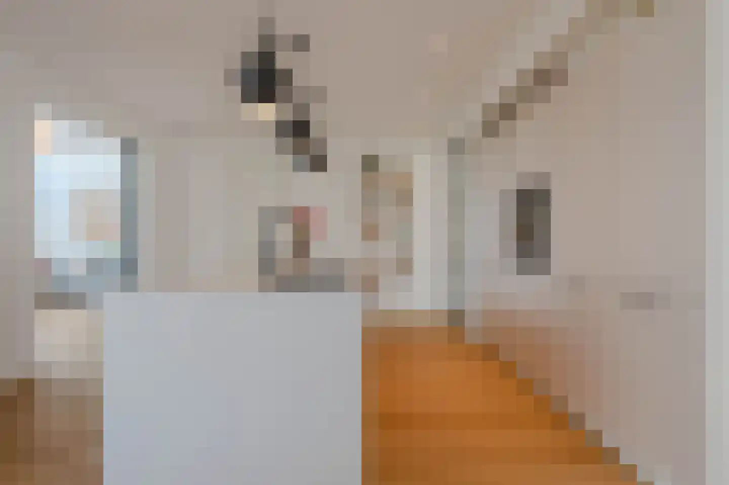 Tureluur 50 Venray thumbnail 16