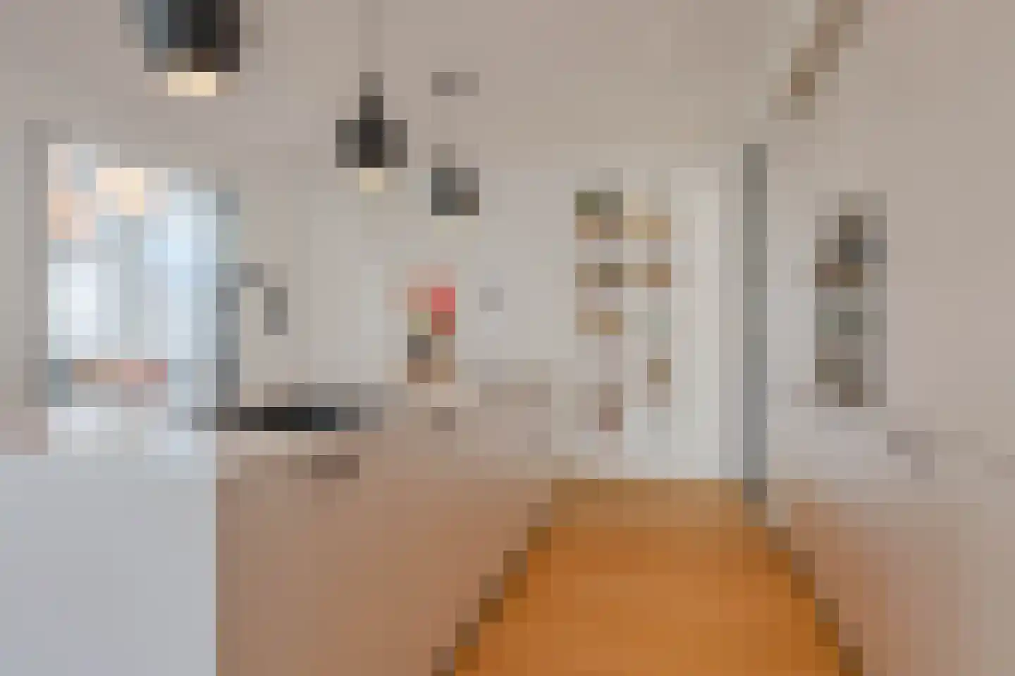Tureluur 50 Venray thumbnail 17