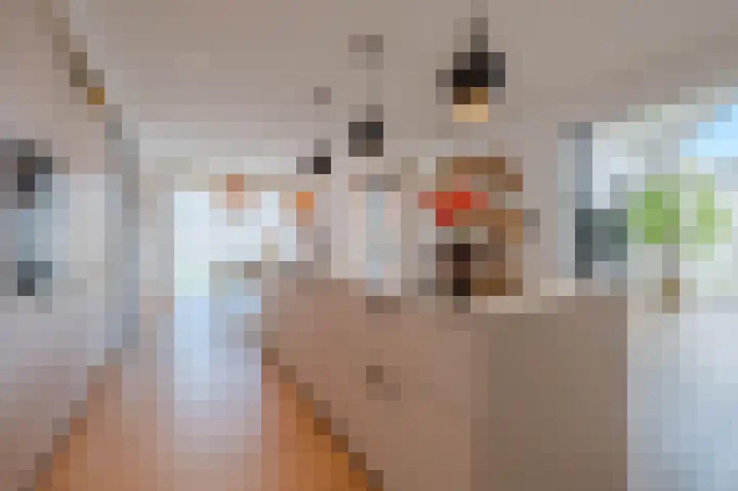 Tureluur 50 Venray thumbnail 20