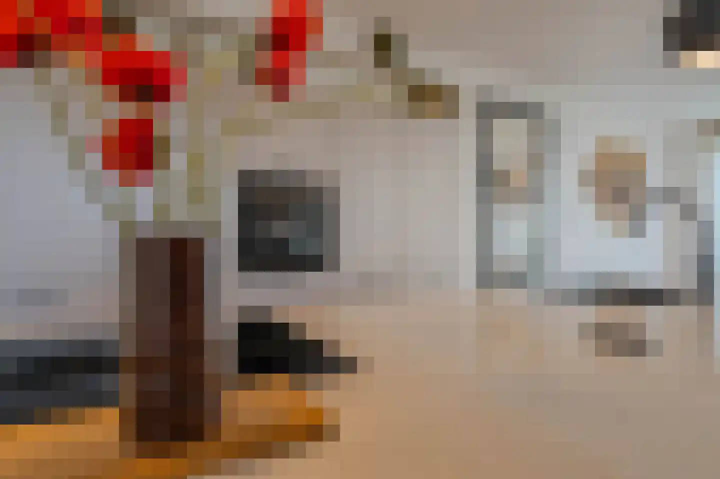 Tureluur 50 Venray thumbnail 21